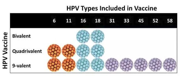 最全！HPV九价疫苗开打第一针！你想知道的都在这里……