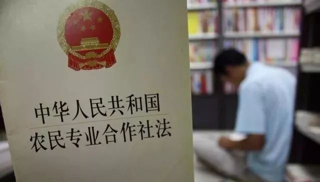 农民专业合作社出资可以全部为实物吗？