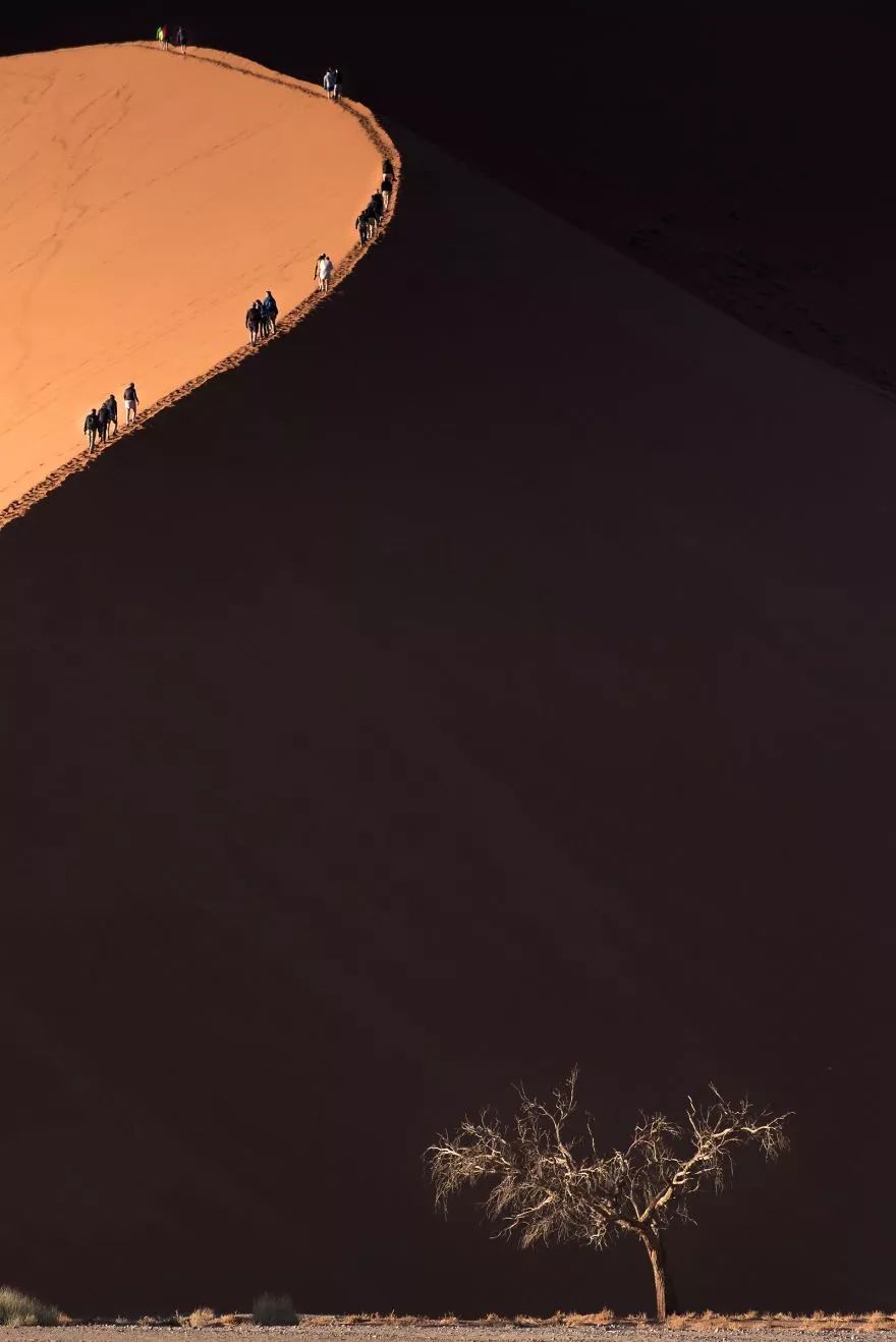 年度震撼大片，2018 国家地理摄影奖揭晓