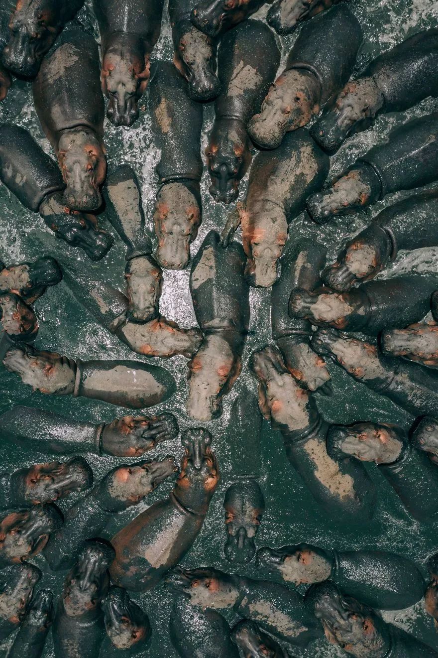 年度震撼大片，2018 国家地理摄影奖揭晓