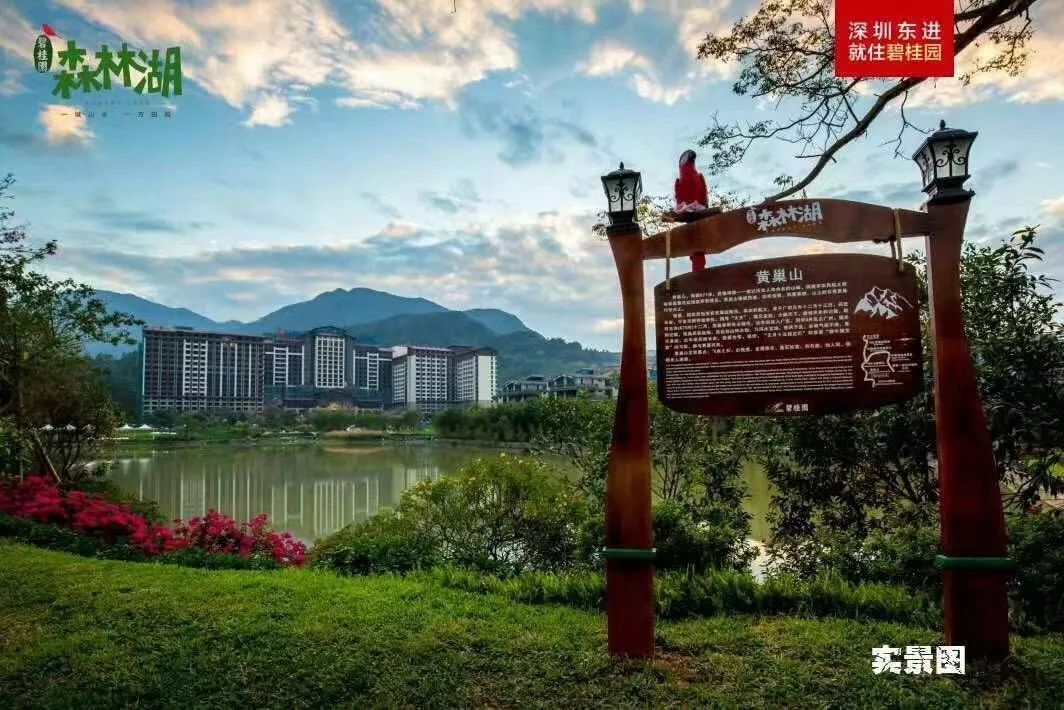 广东惠州的楼盘！想了解，来这里！(图1)