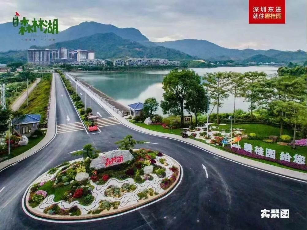 广东惠州的楼盘！想了解，来这里！(图2)