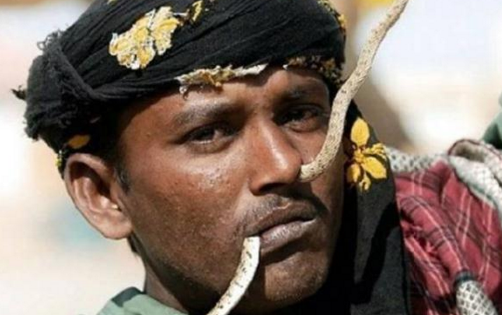 蛇人部落(探索巴基斯坦的”蛇人“部落，千年的”蛇“文化，代代传承)