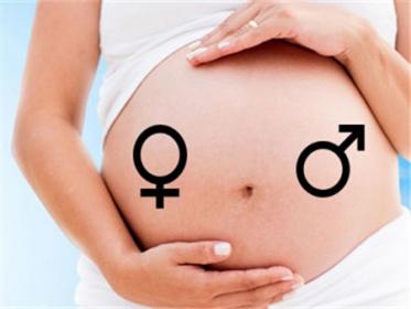 孕期变身“毛妈妈”?一篇给你解疑