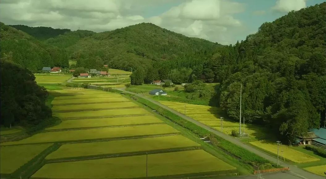 这10部日本电影，是无数人心中的最佳！