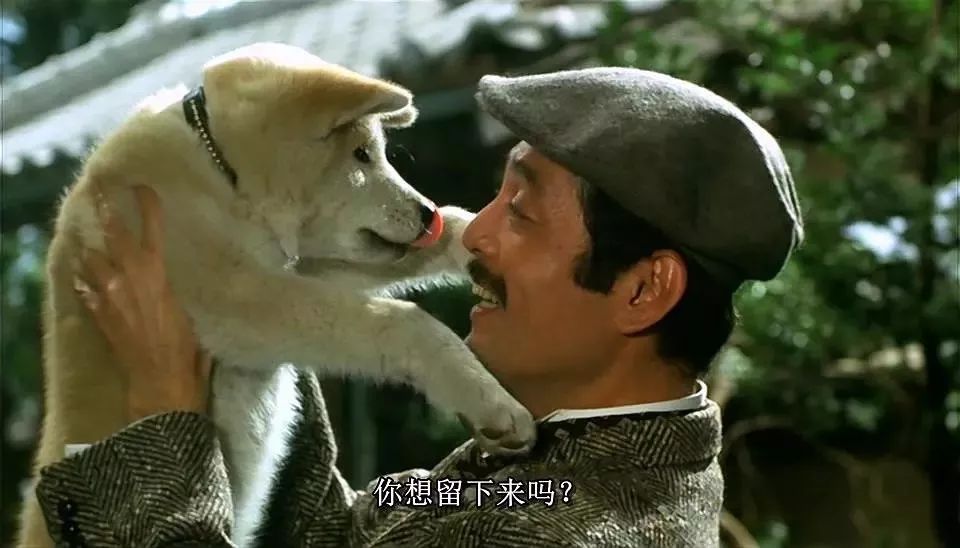 这10部日本电影，是无数人心中的最佳！