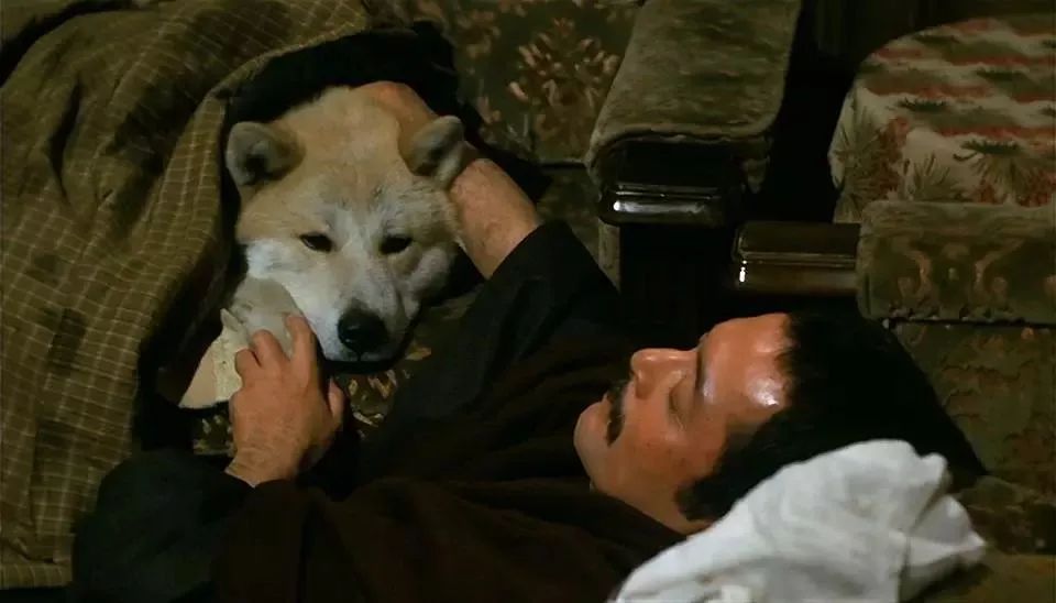 这10部日本电影，是无数人心中的最佳！