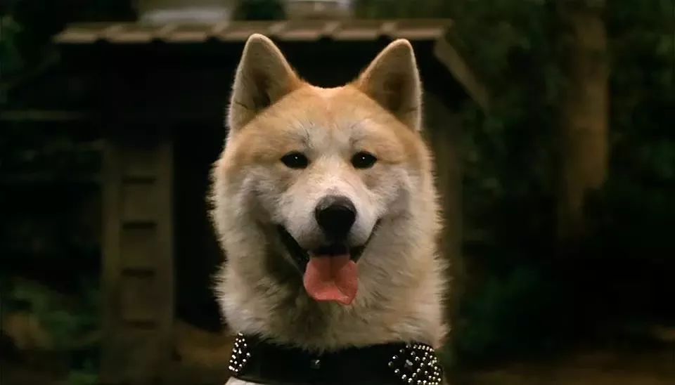 这10部日本电影，是无数人心中的最佳！