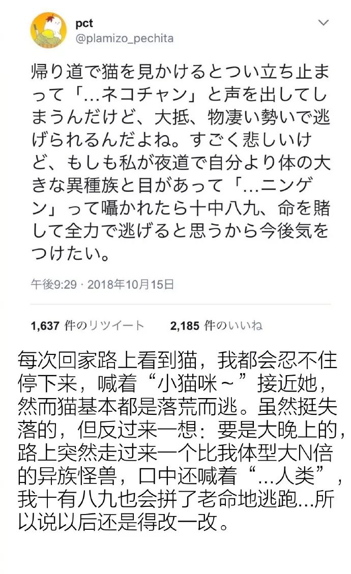 这些日本网友,都在瞎说什么大实话