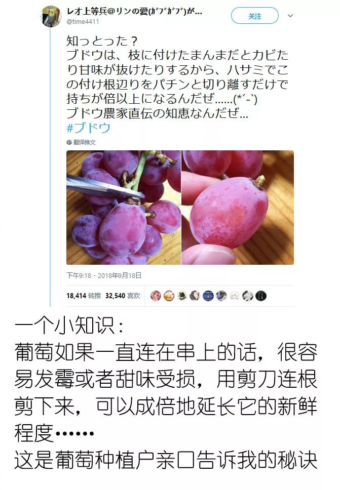 这些日本网友，都在瞎说什么大实话