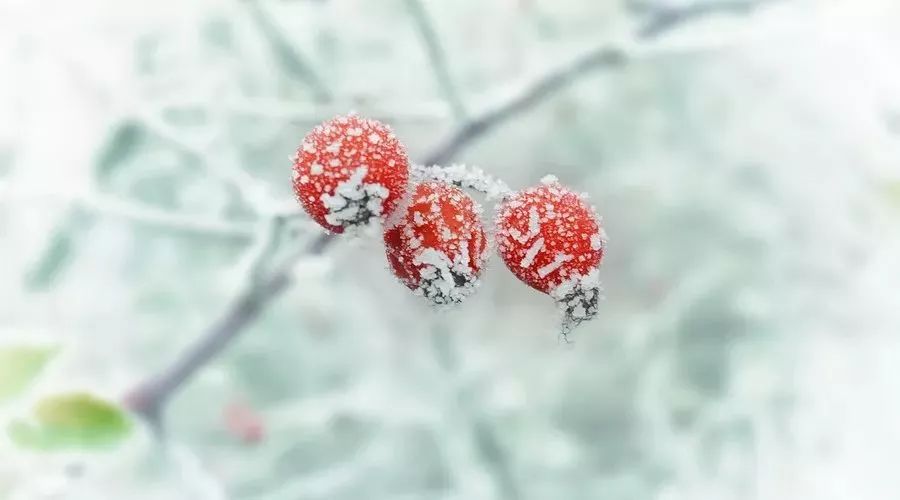 这10首诗词写尽冬天的美-第8张图片-非凡网