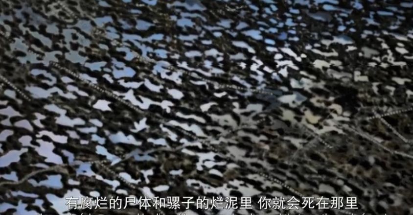 100年后,因为这部神作,他们被永远铭记!