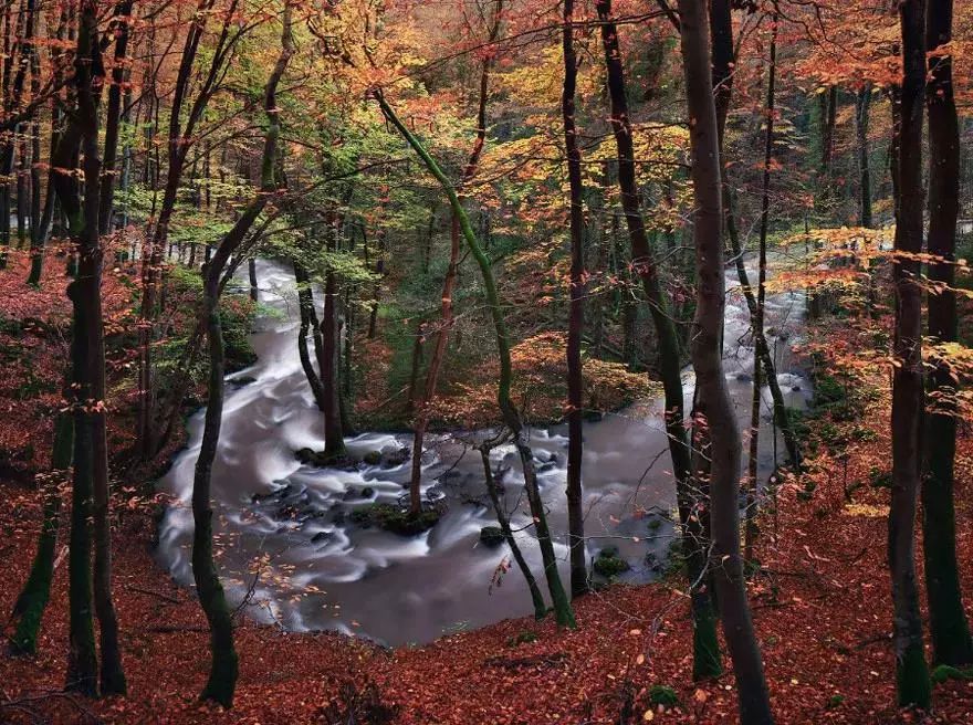 他是色盲，却拍出了最惊艳的世界