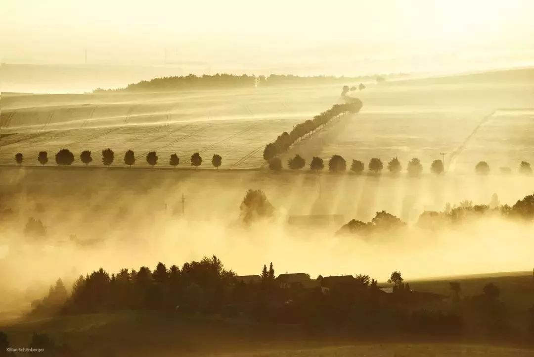 他是色盲，却拍出了最惊艳的世界