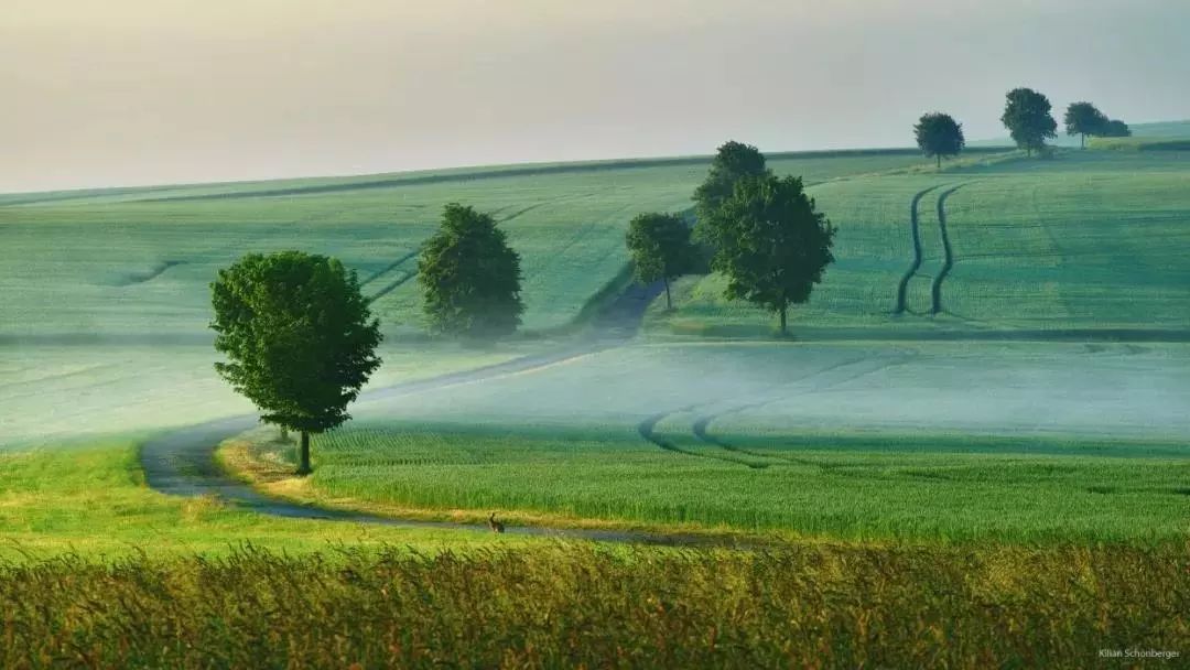 他是色盲，却拍出了最惊艳的世界