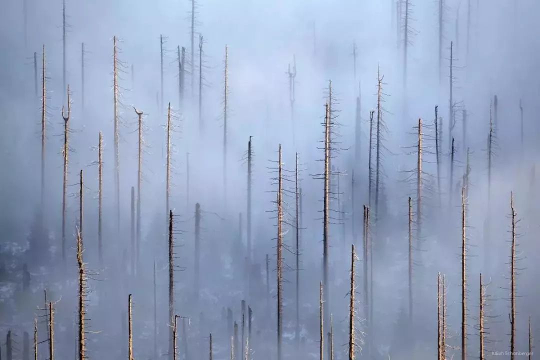 他是色盲，却拍出了最惊艳的世界