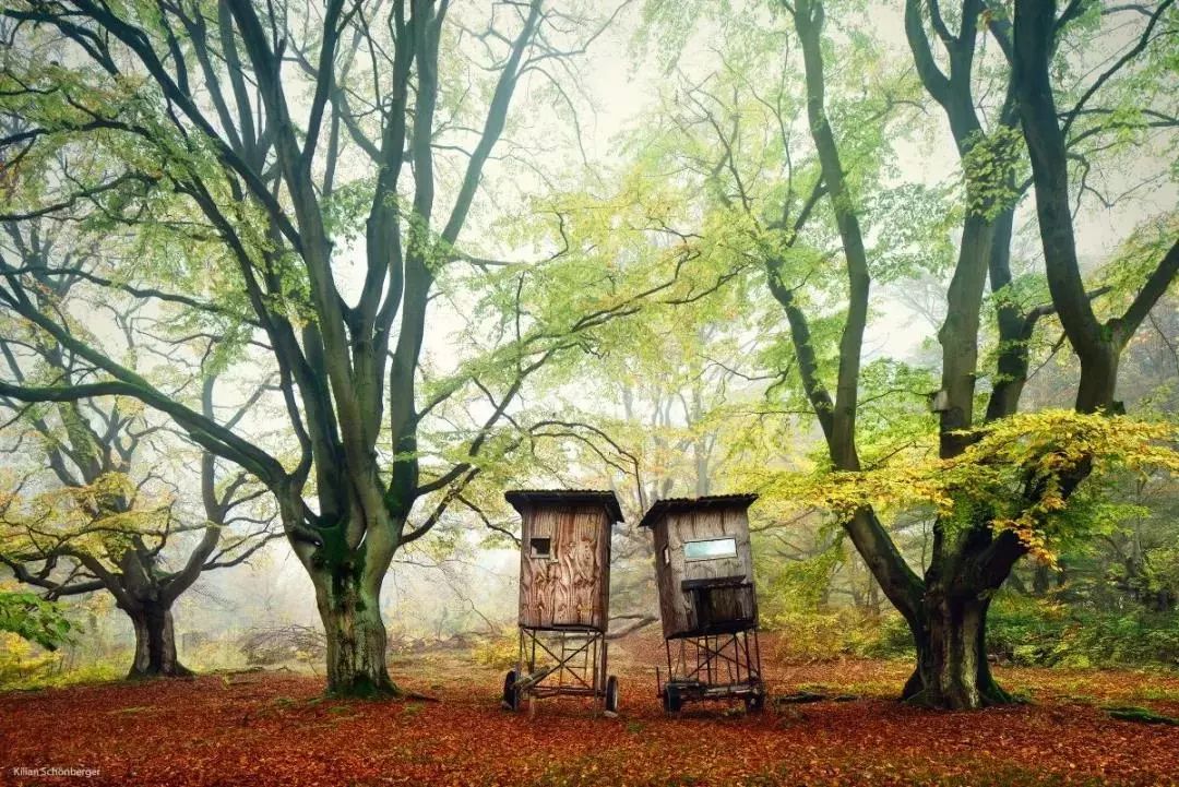 他是色盲，却拍出了最惊艳的世界