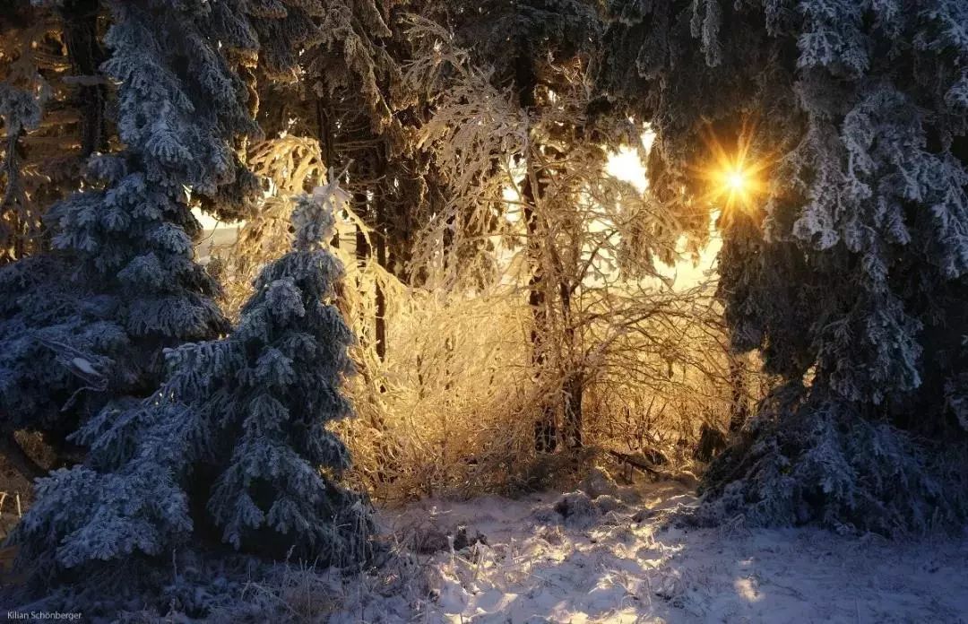 他是色盲，却拍出了最惊艳的世界