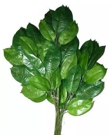 二十八|知否知否大年二十八要做这件事！这些新年禁忌你都知道吗？