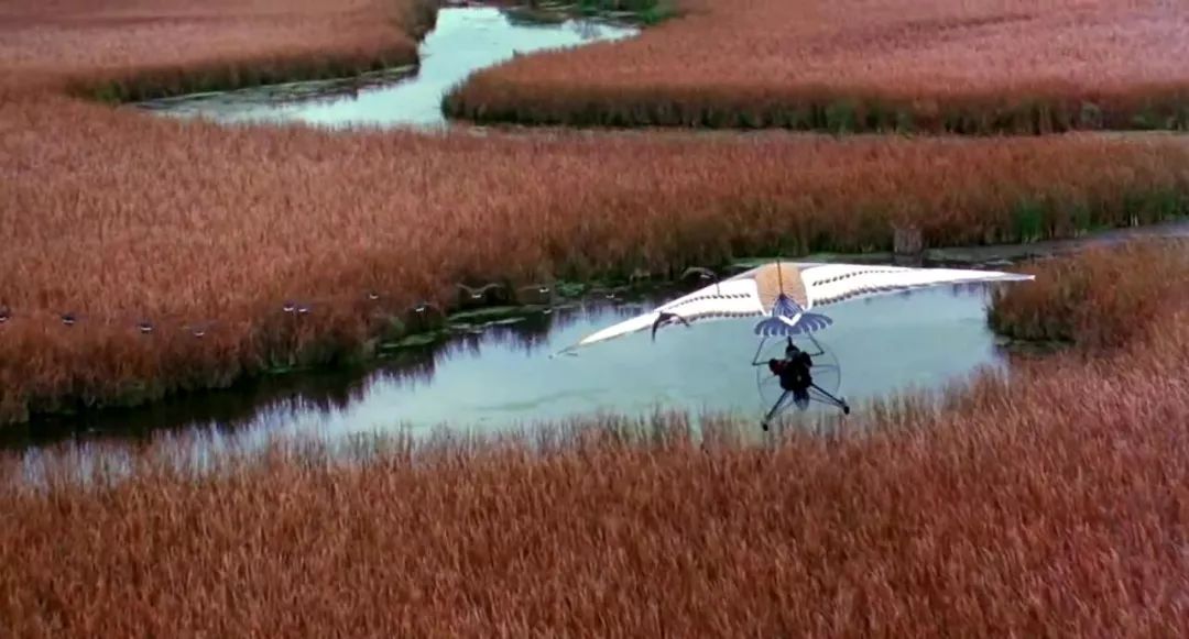 春节宅在家，这20部电影必须要看！