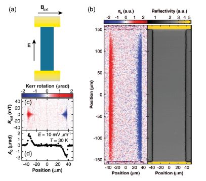 电荷具有霍尔效应，你知道自旋也有霍尔效应吗？