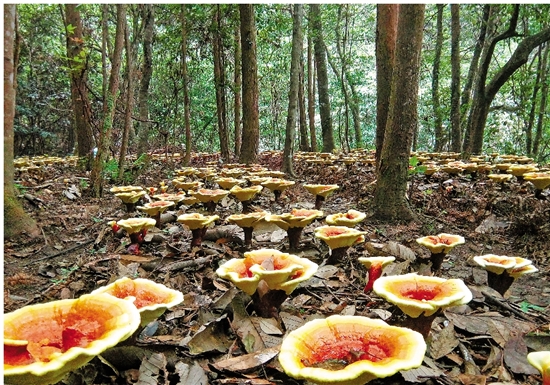 Farmer income amplitude resides complete province 10 years continuously the first place is analytic beautiful water farmer is added accept a code