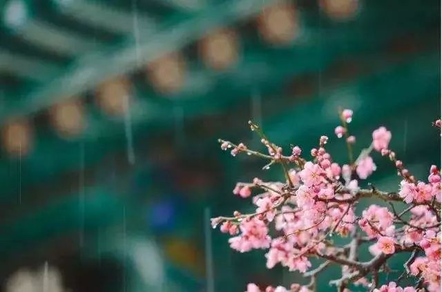 适宜春天读的诗词-第10张图片-非凡网