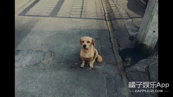 一部死了8442个人的电影，或许比《人间世》还扎心