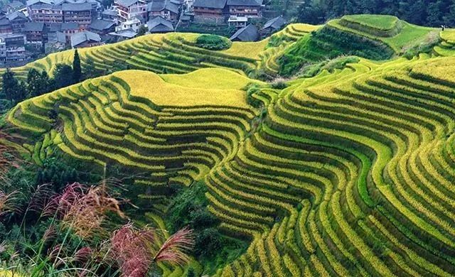《道德经》最厉害8种思维,读完真的不一样