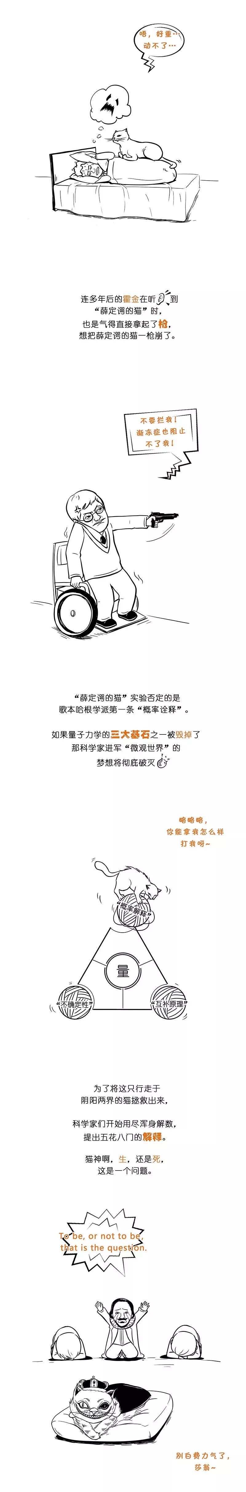 一幅图读懂量子力学（薛定谔的猫）