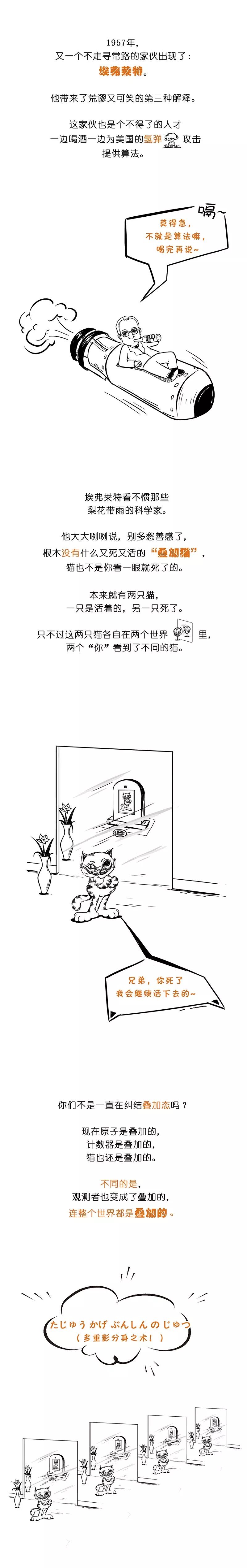 一幅图读懂量子力学（薛定谔的猫）