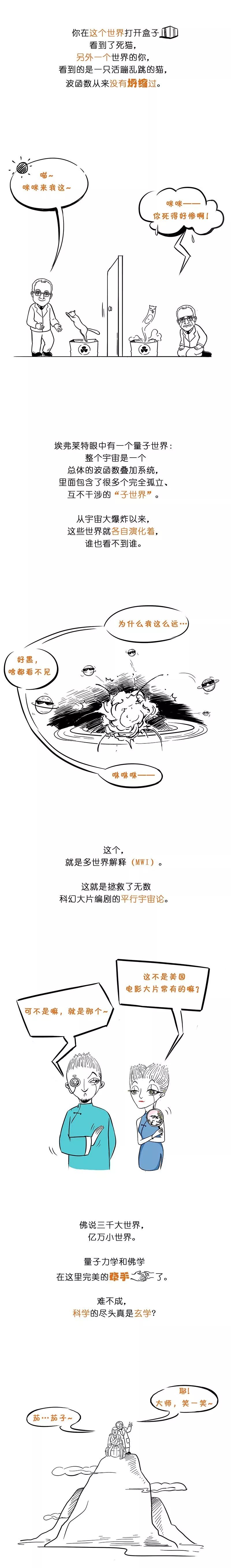 一幅图读懂量子力学（薛定谔的猫）