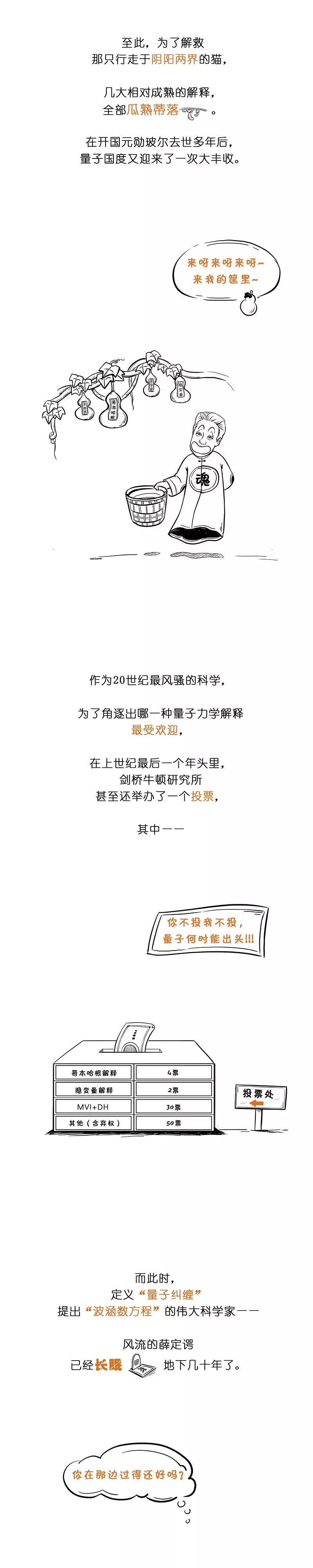 一幅图读懂量子力学（薛定谔的猫）