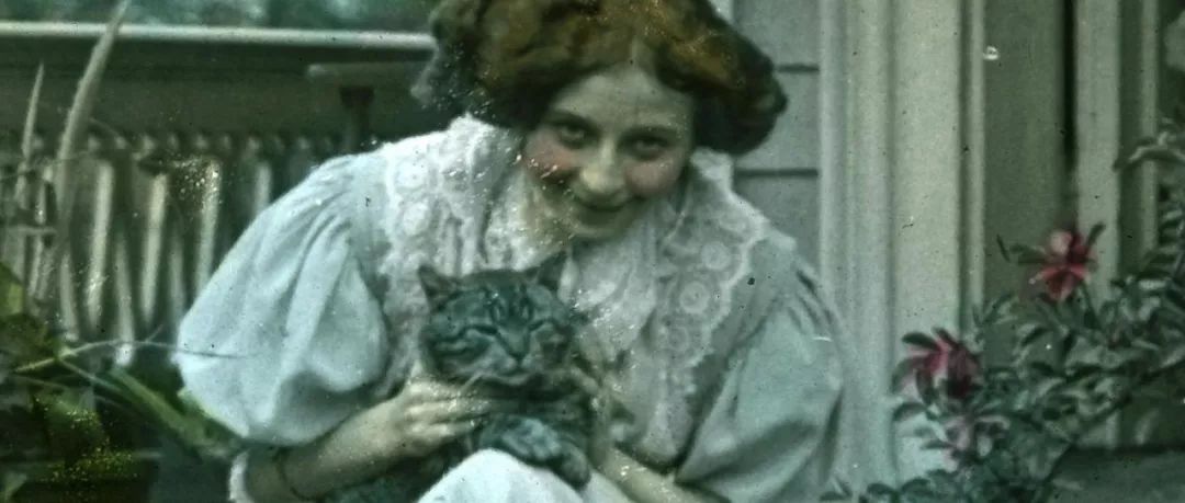 永不过时的猫片