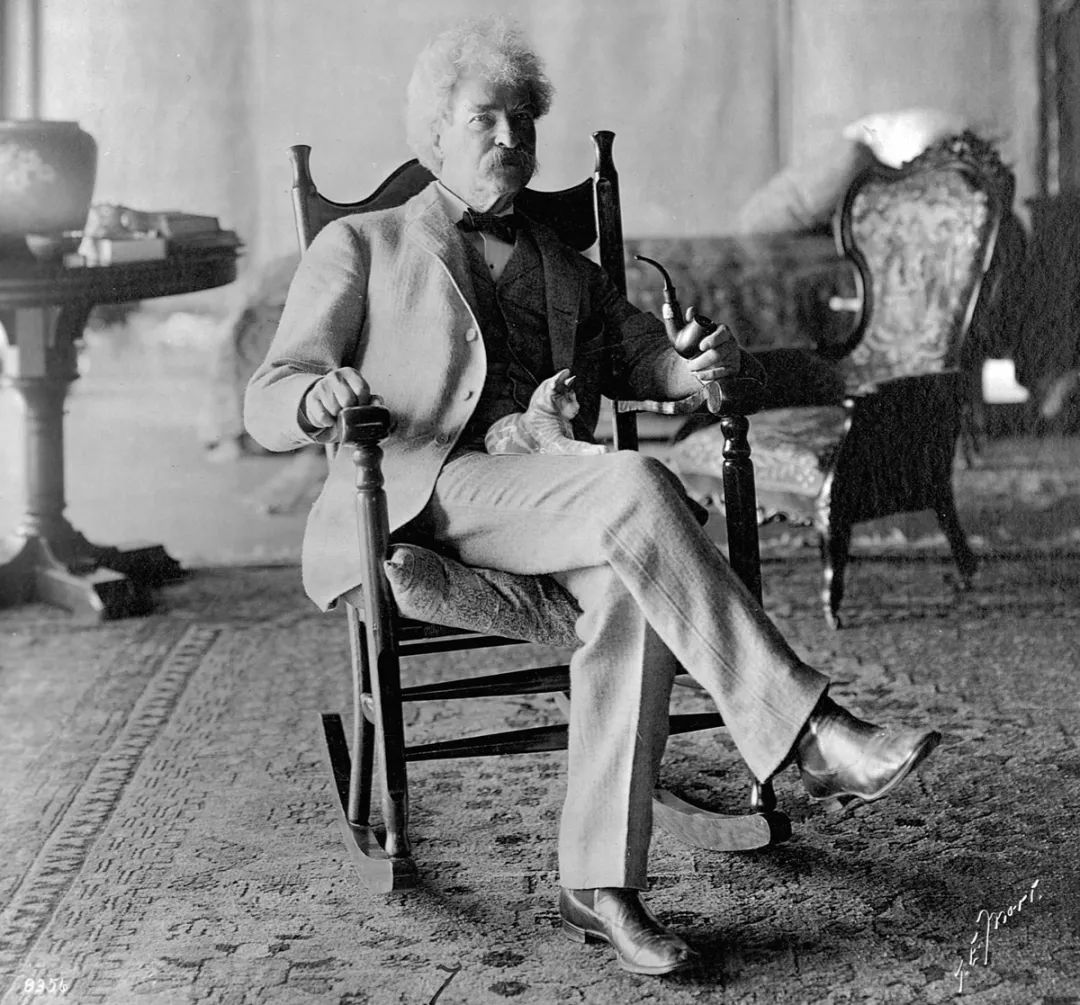 永不过时的猫片