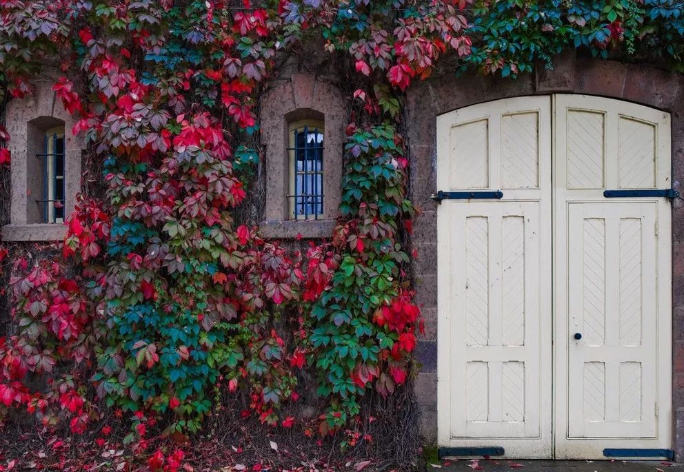 15句惊艳的海子爱情诗，读给恋人听 | 赠书