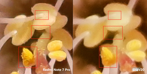 4800W像素大战 红米noteNote 7 Pro/荣誉V20照相比照