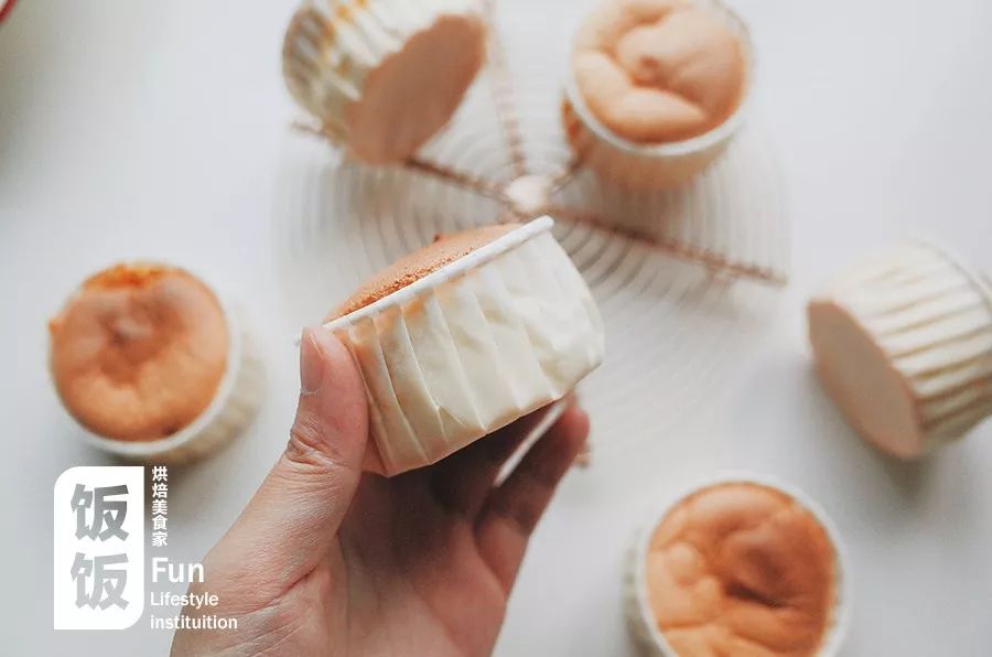 [cup of wind of hollow mango relative] extraordinary