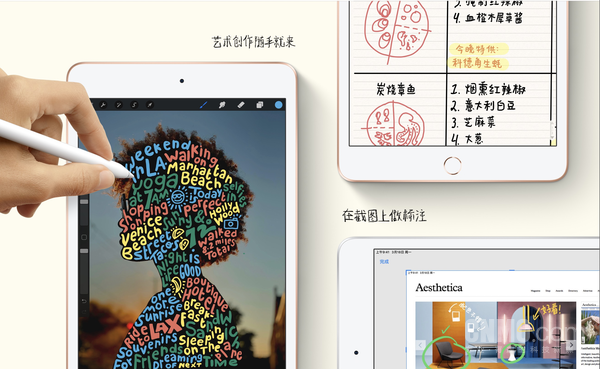 为何我能选购iPad mini？精巧外壳令人招架不住...