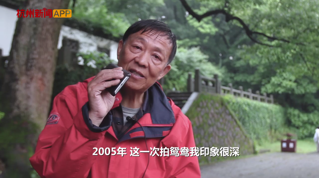 71 an affectionate couple are born in the west lake this year, died 18, majority is to be maintained dead! Sliver comes is bowel of melon seeds, ham, potato completely piece! 