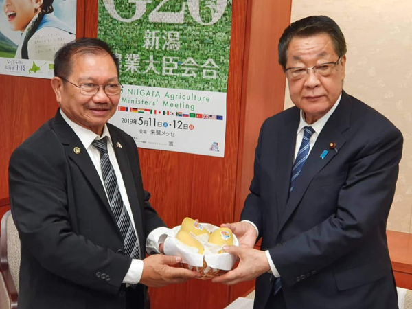 菲律宾200万公斤芒果滞销：希望中国多进口
