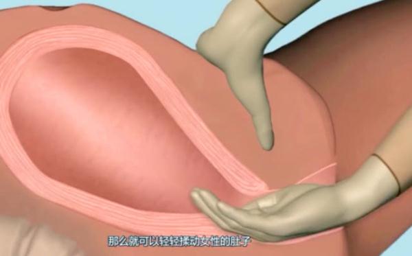 孕妇手剥胎盘有多痛，这几张3D图太真实，网友：隔着屏幕都疼