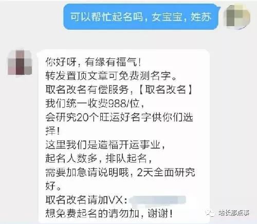 网络起名项目实操分享