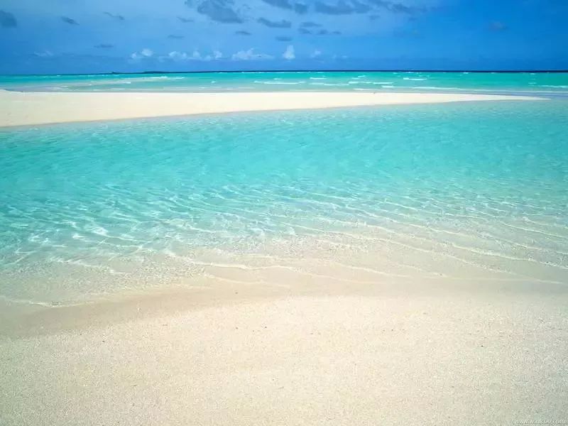 環(huán)?？破眨覀?yōu)槭裁匆Ｗo(hù)海洋？