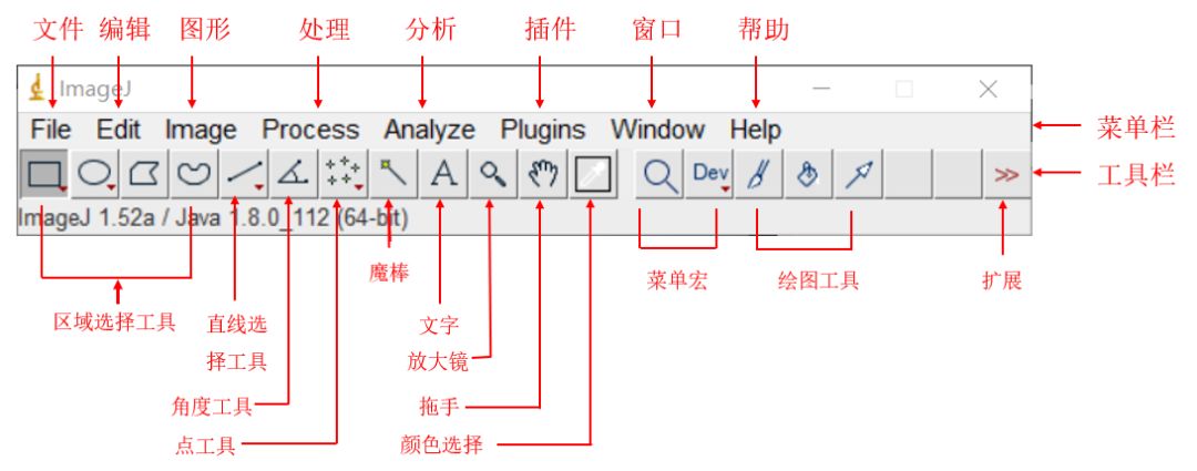 科研论文作图之ImageJ