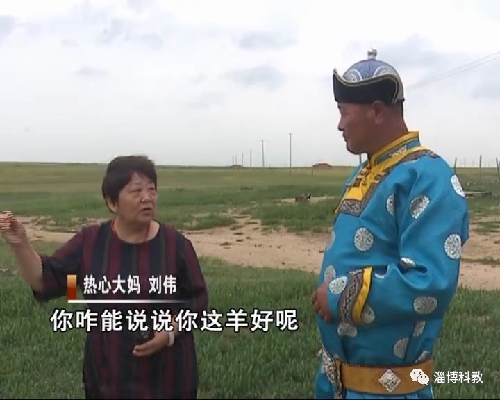 这样生长的草原羊就是优秀