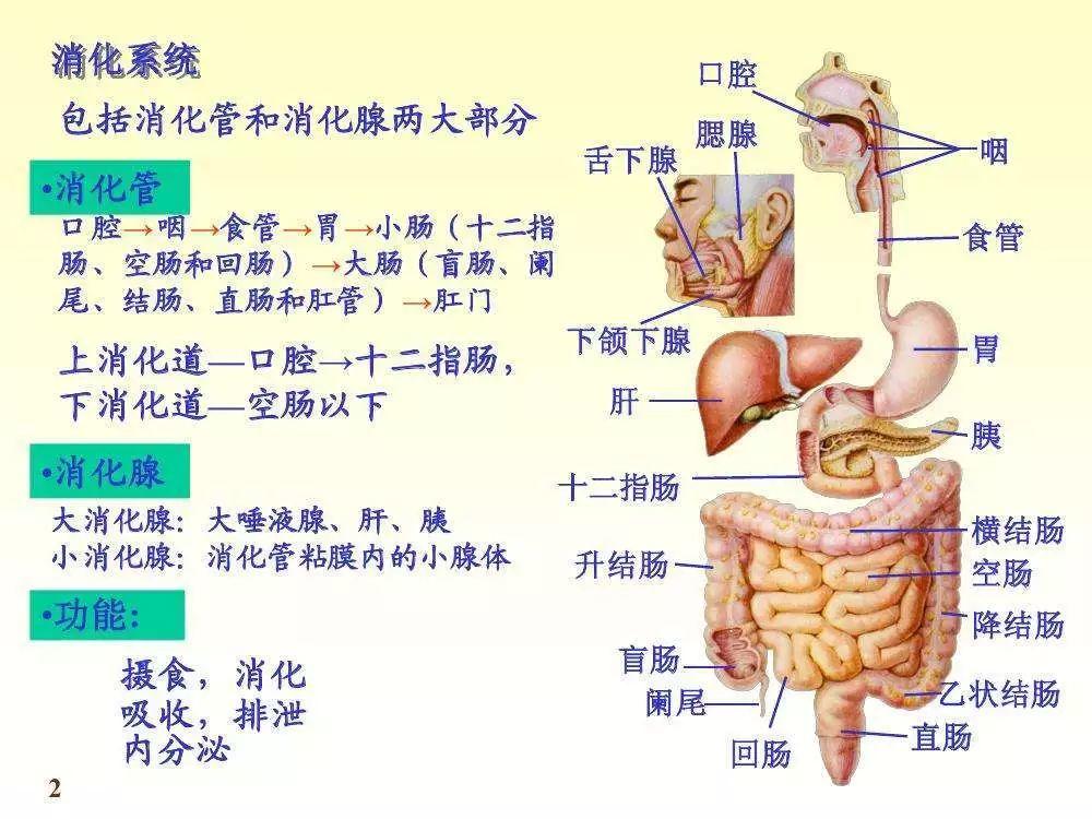 深度长文（一）：什么是产品架构？