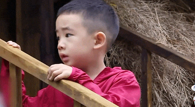 6岁Jasper被夸会做人：成人世界油腻的“高情商”，才配不上他