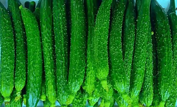 The word says old Beijing -- cucumber