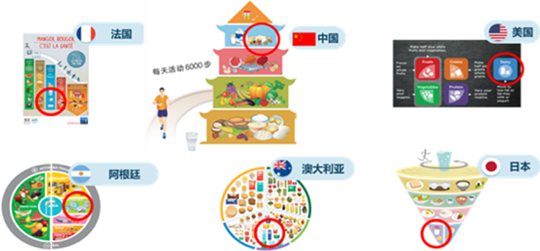 解读益生菌酸奶对增强身体免疫力的科学功效